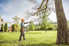 Best Arborist Consultation Services  in Oakbrook, KY