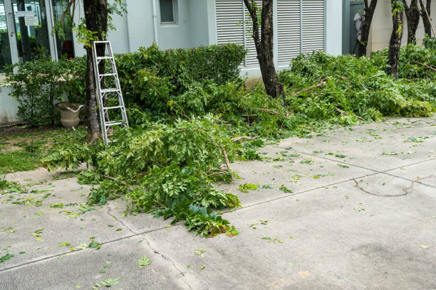 Best Tree Trimming and Pruning  in Oakbrook, KY