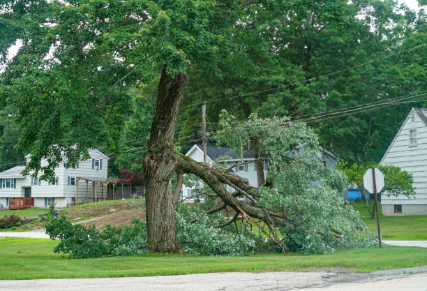 Best Tree Preservation Services  in Oakbrook, KY